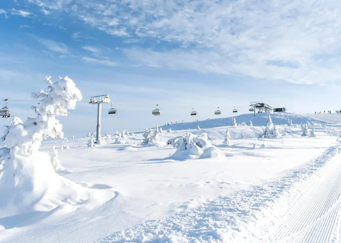 Hafjell Ski-in Ski-out Lägenhet Øyer