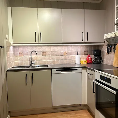 Hafjell Ski-in Ski-out Daire Øyer